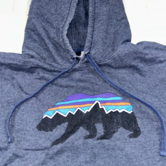 Patagonia L Large Fitz Roy Bear Hoody Sweatshirt Blue Mens Hoodie - Picture 2 of 7